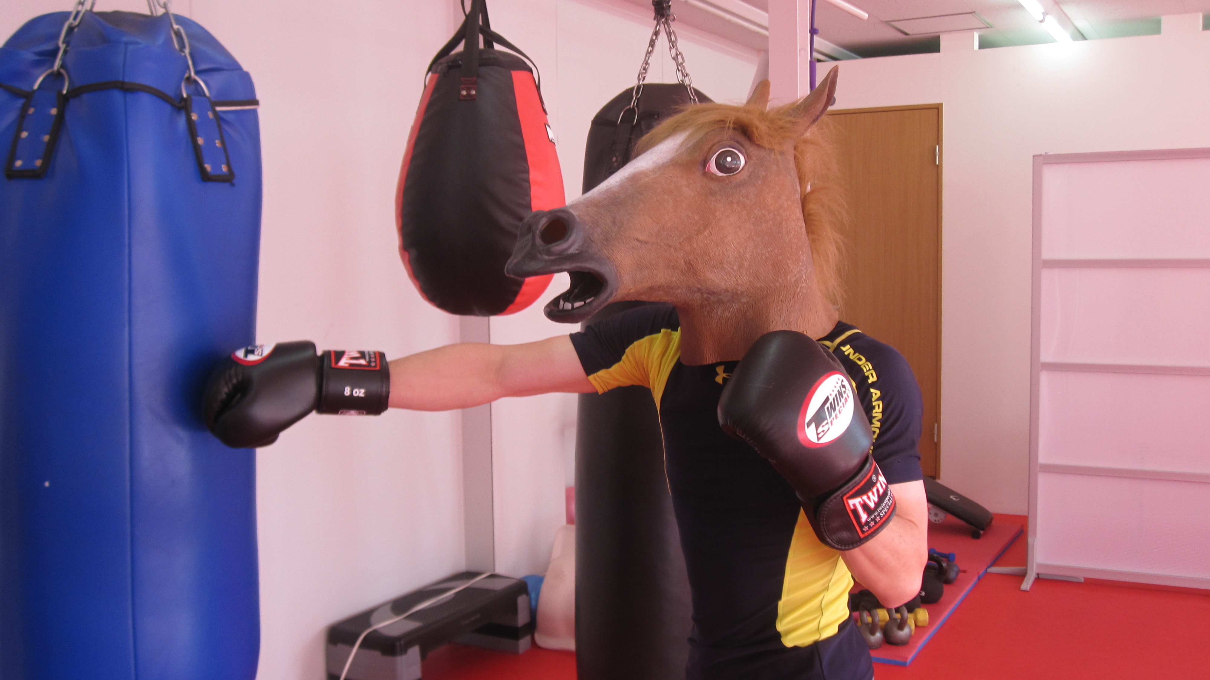 馬のボクシング（*^_^*）